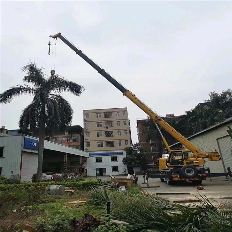 新政镇汽车吊出租多少钱？全面解析与市场行情